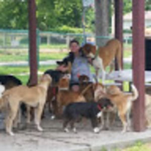 Meet your Posher, Smyser